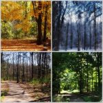 O porach roku wg mitologii greckiej