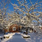Dom moich marzeń (scenariusz lekcji języka niemieckiego)