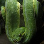 Ćwiczenia ortograficzne - scenariusz zajęć